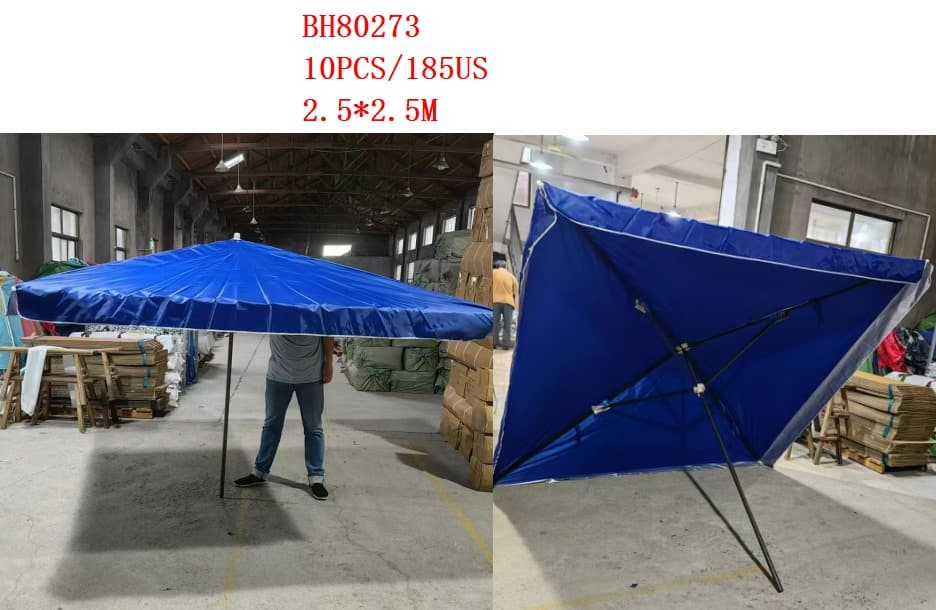 BH80273