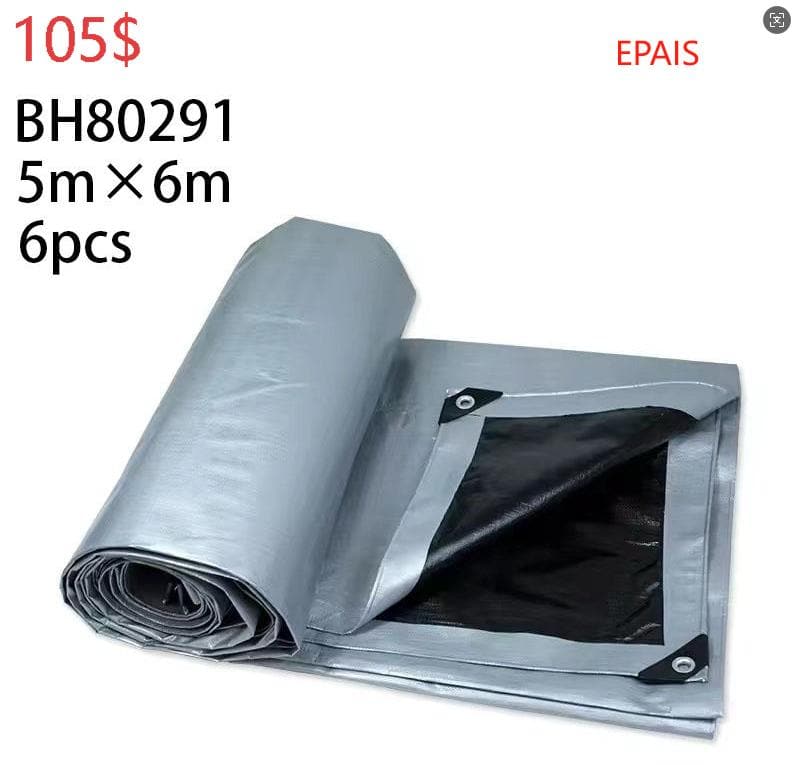 BH80291