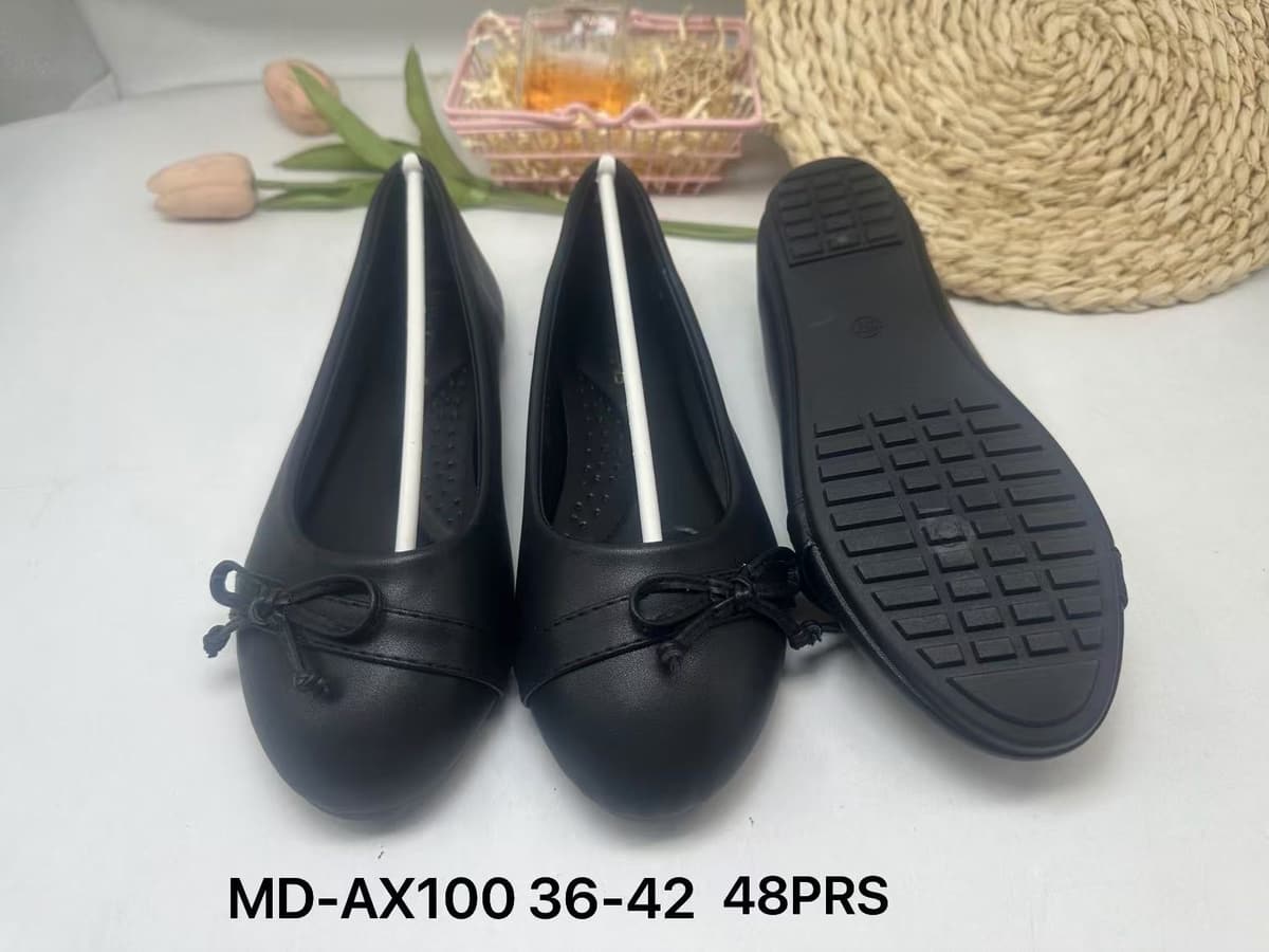 MD-AX100